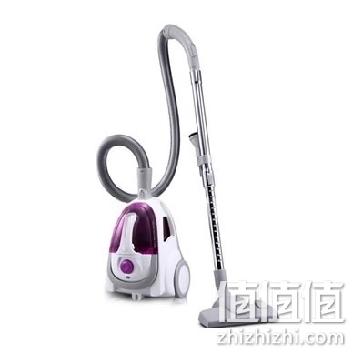 zhizhizhi_com_874454