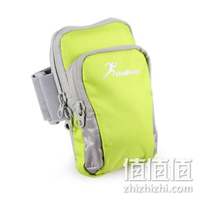 zhizhizhi_com_875316_1