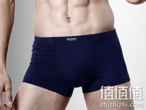 zhizhizhi_com_876313_1