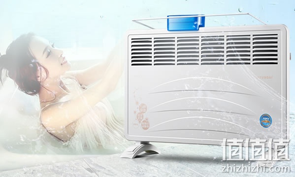 现代（HYUNDAI）BL-200H 对流式快热