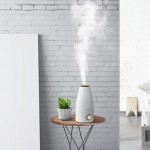 小熊 JSQ-A20B1 加湿器2L