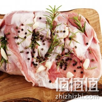 zhizhizhi_com_876521_2