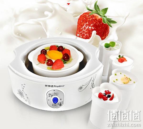 荣事达 RS-G21 全自动酸奶机