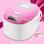 奥克斯（AUX）FY-J40P1 电饭煲 4L