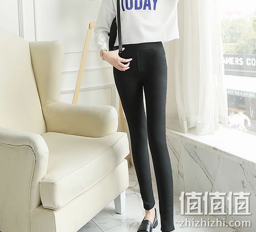 zhizhizhi_com_877296_1