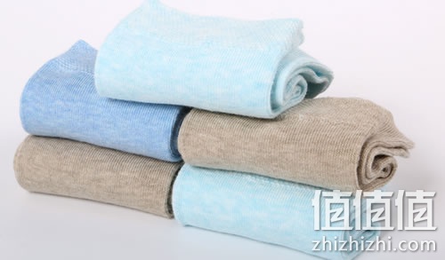 zhizhizhi_com_877815_1