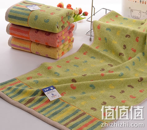 zhizhizhi_com_878003_1