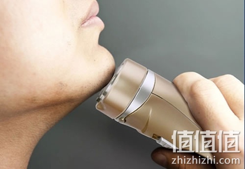 zhizhizhi_com_878380_1