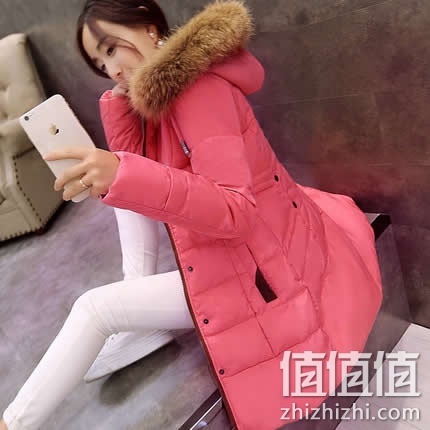zhizhizhi_com_879531