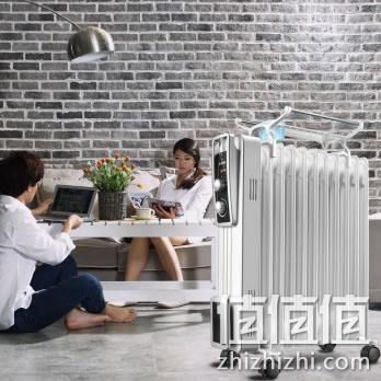 zhizhizhi_com_879605