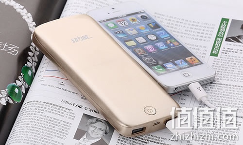 zhizhizhi_com_880410_1