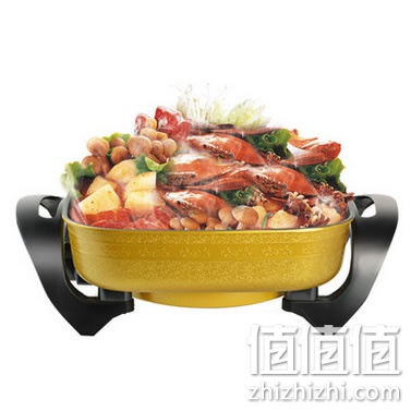 zhizhizhi_com_880717