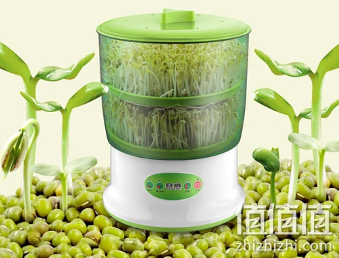 zhizhizhi_com_880939_1