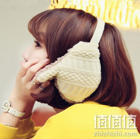 zhizhizhi_com_881291
