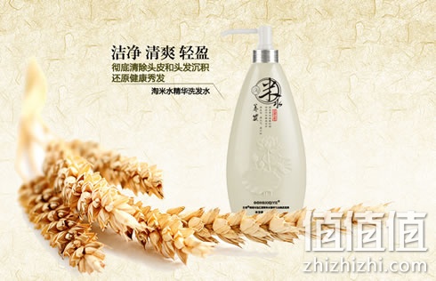 zhizhizhi_com_881535_1