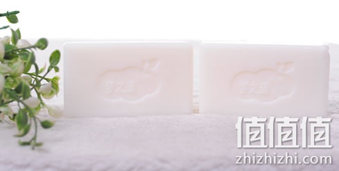 zhizhizhi_com_881854_1