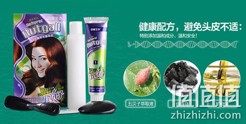 zhizhizhi_com_882115_1
