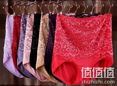 zhizhizhi_com_882606_1
