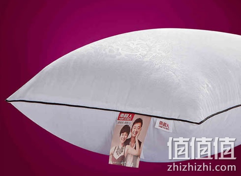 zhizhizhi_com_882621_1