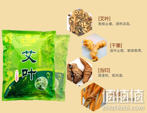 zhizhizhi_com_883134_1