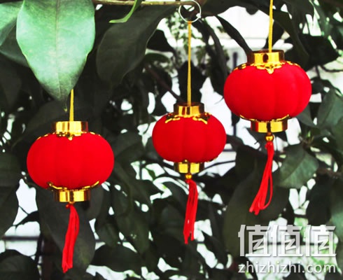 zhizhizhi_com_883290_1