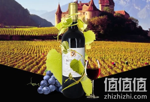 zhizhizhi_com_883340_1