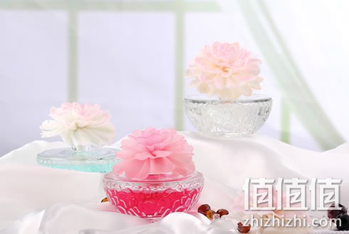 zhizhizhi_com_883371_1