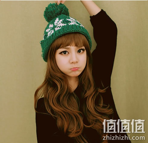 zhizhizhi_com_883388_1