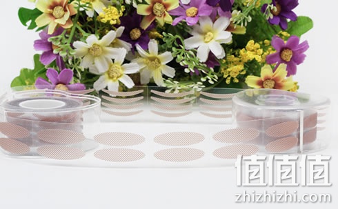 zhizhizhi_com_883777_1