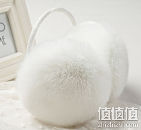 zhizhizhi_com_884054_1