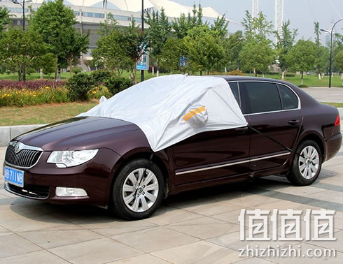 zhizhizhi_com_884331_1