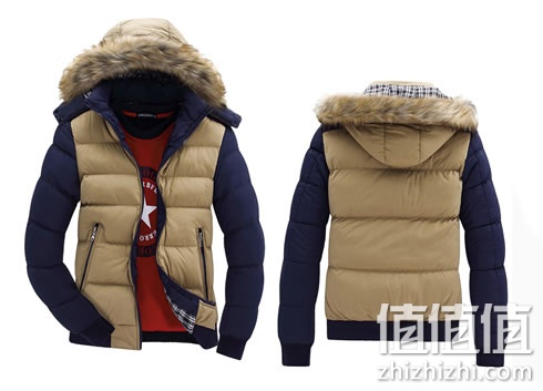 zhizhizhi_com_884511_1
