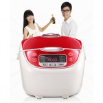 美的 WFS4011 电饭煲 4L
