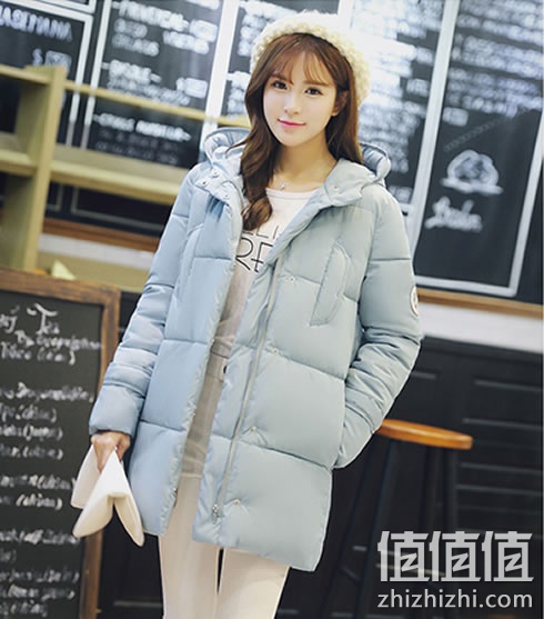 zhizhizhi_com_884611_1