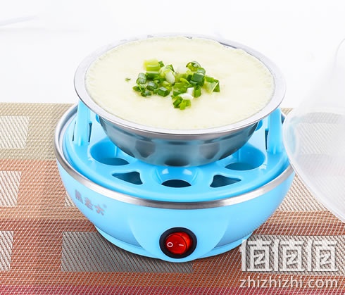 zhizhizhi_com_884784_1