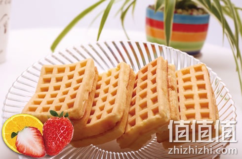 zhizhizhi_com_885194_1