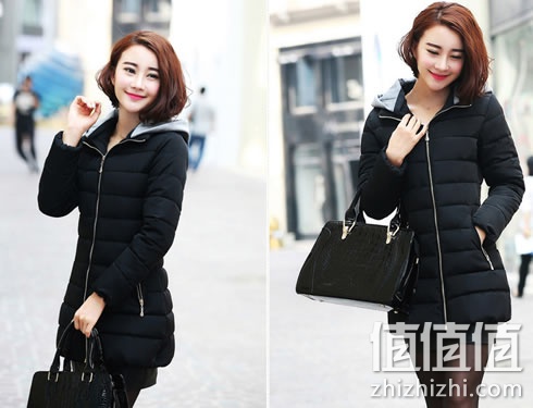 zhizhizhi_com_885312_1