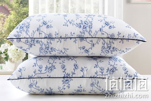 zhizhizhi_com_885492_1
