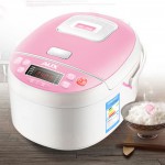 奥克斯 FY-J40P1 电饭煲 4L