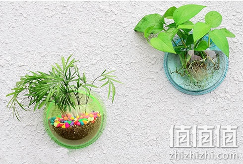 玉塑家创意家居壁挂鱼缸花盆