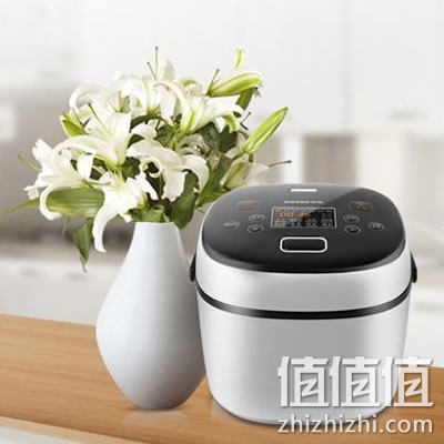 奔腾FN2173电饭煲