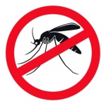海淘驱蚊产品攻略？驱蚊液、驱蚊器、驱蚊贴哪种好？