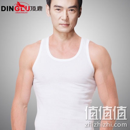 dinglu-dadishan