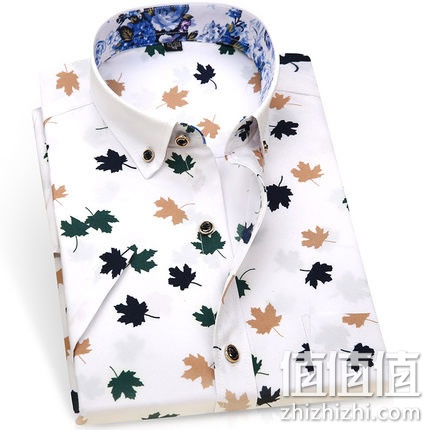 shengdahuanu-duanxiu-chenshan