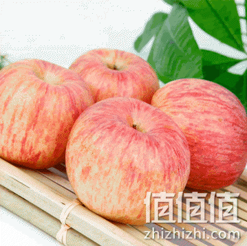 伯乐庄园 烟台栖霞红富士