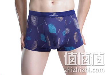 chuanliwang-nanshineiku_1