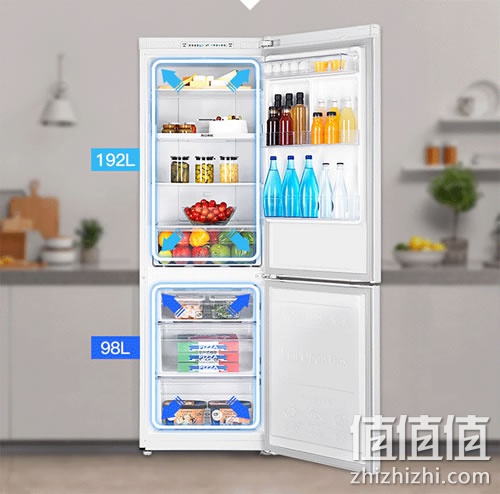 samsung-bcd-290wnsiww1-shuangmenbingxiang_1