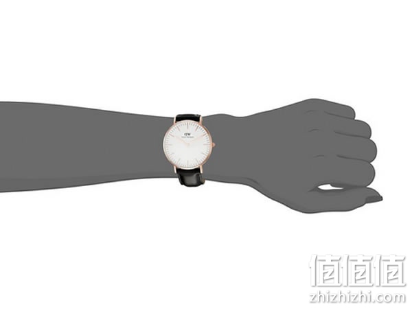 Daniel Wellington 0508DW石英手表