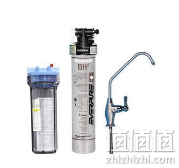 爱惠浦BH2净水器 