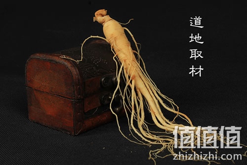 邻泉王长白山鲜人参